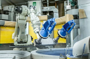 專訪法國賽峰公司高層 貴陽工廠硅鐵粒產品質量卓越，引領行業標準